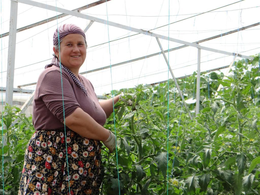Aygun Pension Tekirova Exteriér fotografie