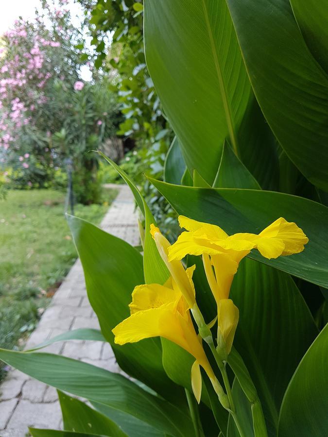 Aygun Pension Tekirova Exteriér fotografie