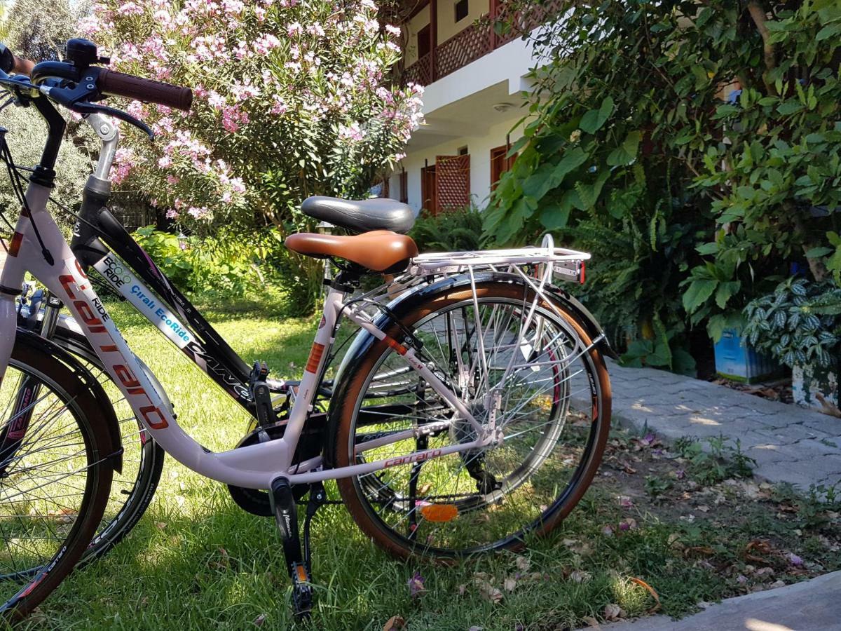 Aygun Pension Tekirova Exteriér fotografie